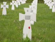 Княже з panoramio.com