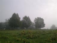 Перельоти з panoramio.com