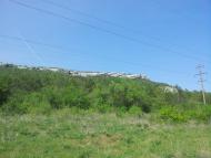 Каштанове з panoramio.com