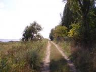 Біленьке з panoramio.com