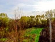 Мурзинці з panoramio.com