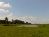 Великі Мацевичі з panoramio.com