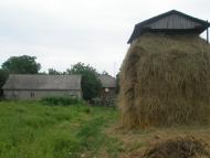 Гулянка з panoramio.com