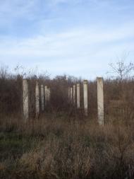 Козацьке з panoramio.com