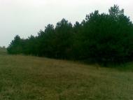 Фуратівка з panoramio.com