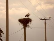 Луканівка з panoramio.com