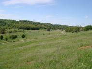 Стариця з panoramio.com