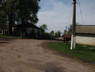 Виблі з panoramio.com