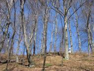 Лозино з panoramio.com