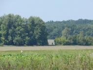 Зоряне з panoramio.com