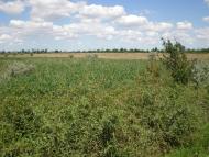 Чоботарка з panoramio.com