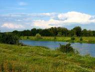 Шандрівка - Останні фото