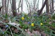 Високопілля з panoramio.com