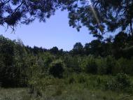 Радянське з panoramio.com