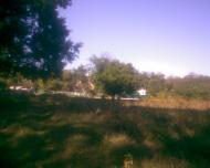 Сухоліси з panoramio.com