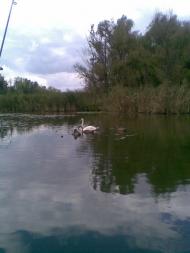 Зоряне з panoramio.com