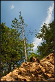 Мала Любаша з panoramio.com