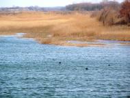 Дмитрівське - Останні фото