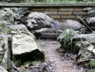 Білики з panoramio.com