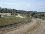 Ковалівка - Останні фото