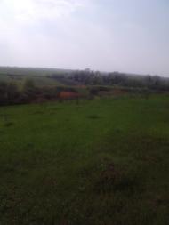 Мармуліївка з panoramio.com