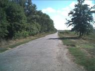 Хорошки з panoramio.com