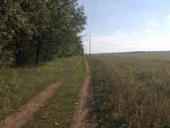 Миколаївське з panoramio.com