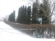 Зелені Курилівці з panoramio.com