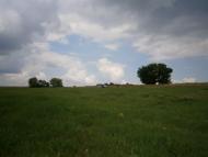 Булацелівка - Останні фото