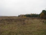 Тальки з panoramio.com