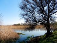 Широчани з panoramio.com