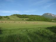 Аромат з panoramio.com