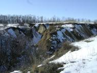 Волошки - Останні фото