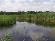 Скалонівка з panoramio.com