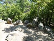 Виноградний з panoramio.com