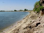 Куковичі з panoramio.com