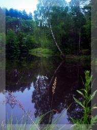 Мартинівка з panoramio.com