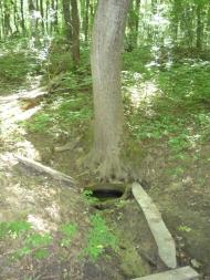 Мотрунки - Последние фото