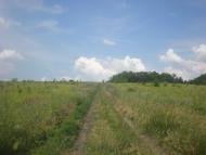 Попасне з panoramio.com