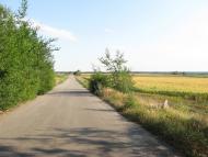 Котовка з panoramio.com