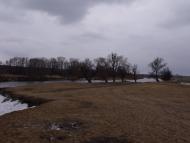 Курортне з panoramio.com