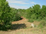 Пересадівка з panoramio.com