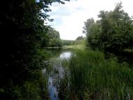 Великі Сорочинці з panoramio.com - Великие Сорочинцы