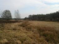 Жиричі з panoramio.com