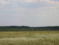 Діброво-Ленінське з panoramio.com