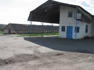 Довгалівка з panoramio.com