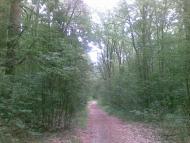 Воловики з panoramio.com