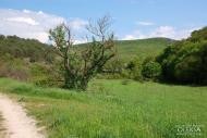 Повортне з panoramio.com