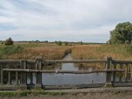 Горошине з panoramio.com