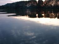 Кодня - Последние фото